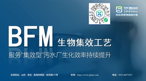 思普潤BFM生物集效工藝 賦能集效型污水廠，驅動生化效率的持續躍升
